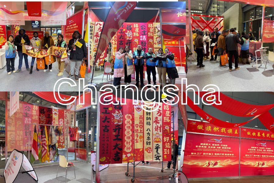 Changsha DEPS Expo